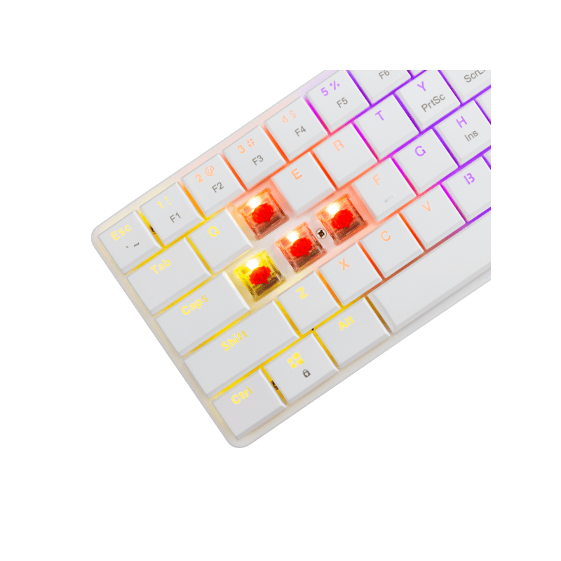 69947a554097dc828465cc68